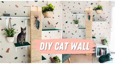 renter friendly cat shelves|Does anyone have recommendations for rental。